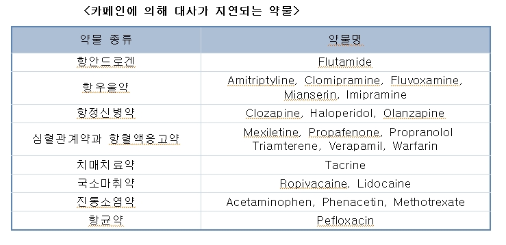 아세트아미노펜 대사