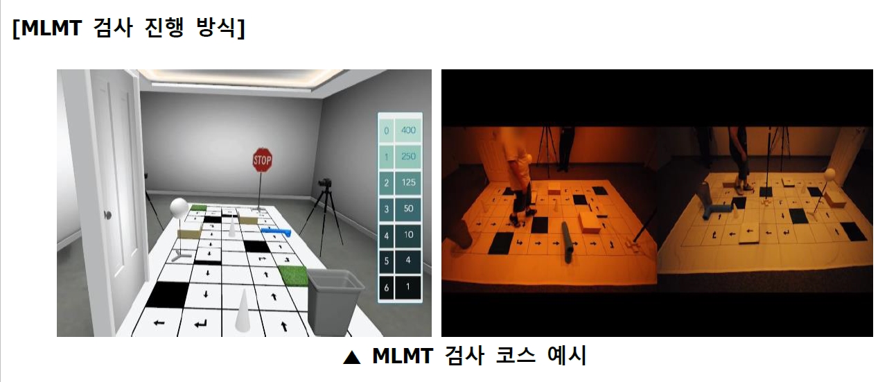 럭스터나 MLMT 검사 코스