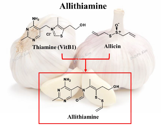 그림. 알리티아민(allithiamine)의 합성과정