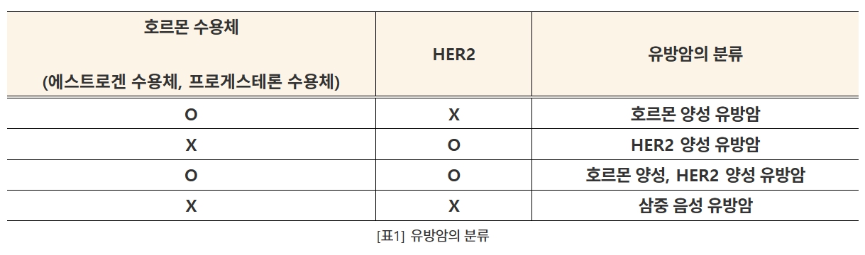 유방암 분류. 자료: 서울대병원