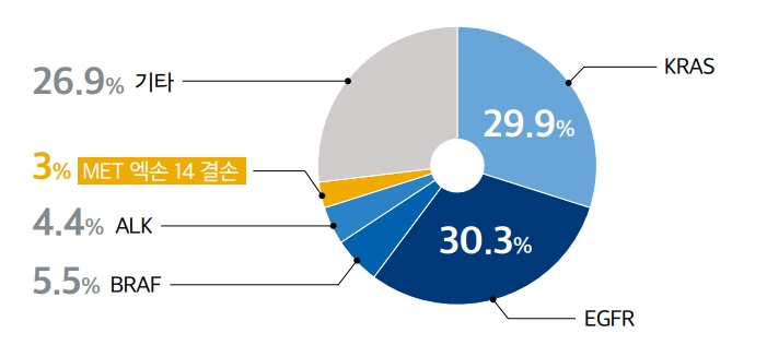 전체 비소세포폐암 변이 중 MET 유전자 비율