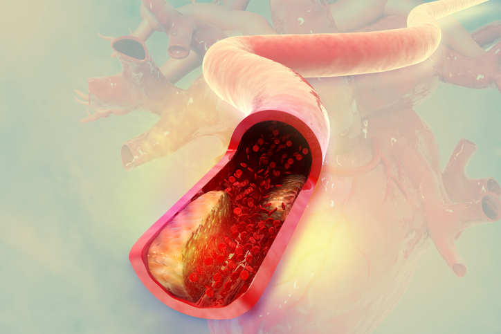 사진. 게티이미지