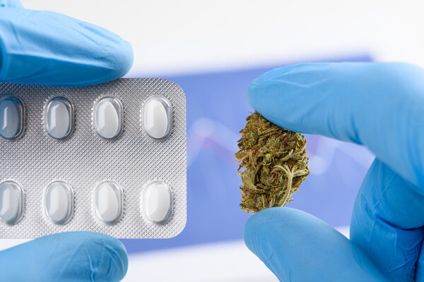의료용 알약과 대마초 꽃