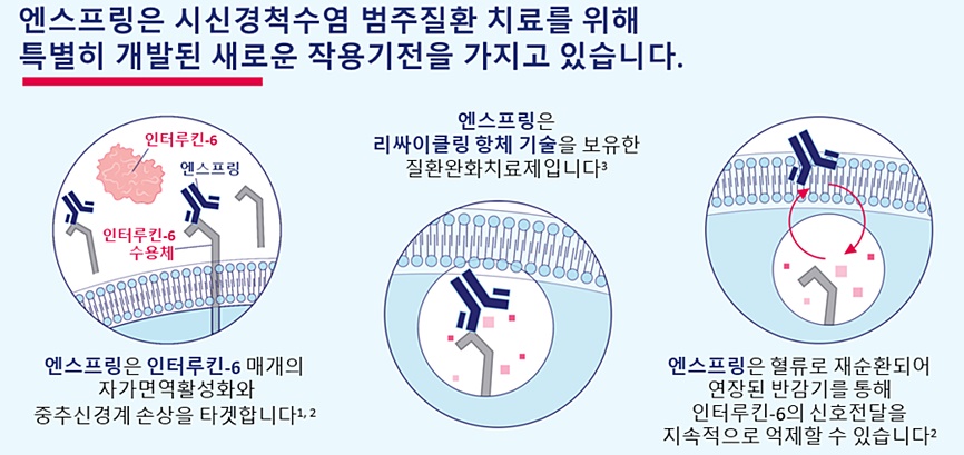 엔스프링 작용 기전
