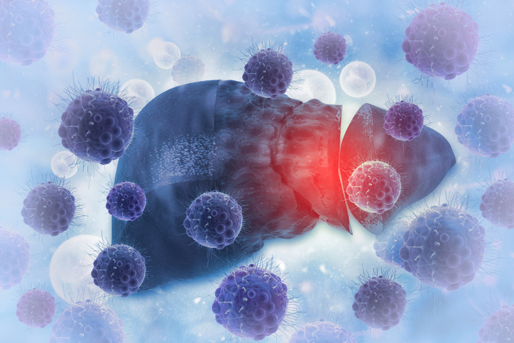 사진. 게티이미지