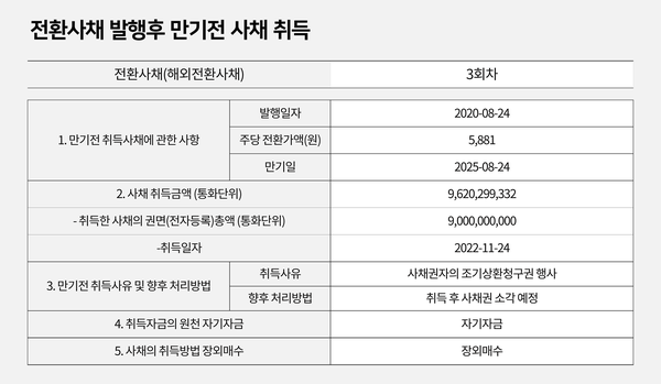 자료=금융감독원 전자공시, 그래픽=인포스탁데일리