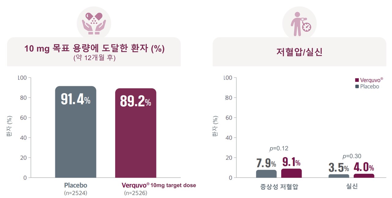 베르쿠보 내약성