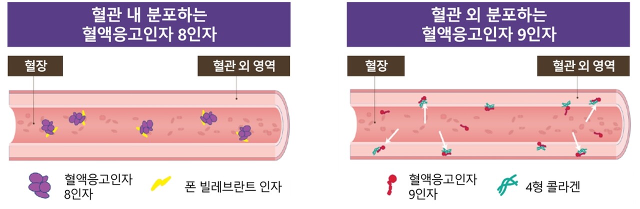 혈액응고인자 8인자와 혈액응고인자 9인자의 차이