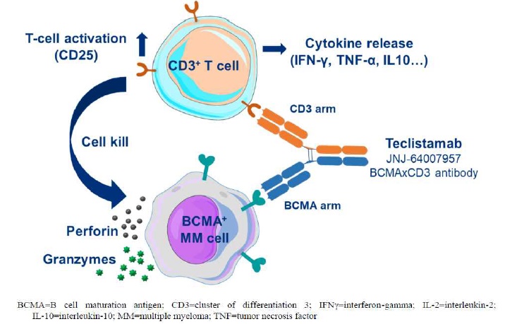 텍베일리 작용 기전