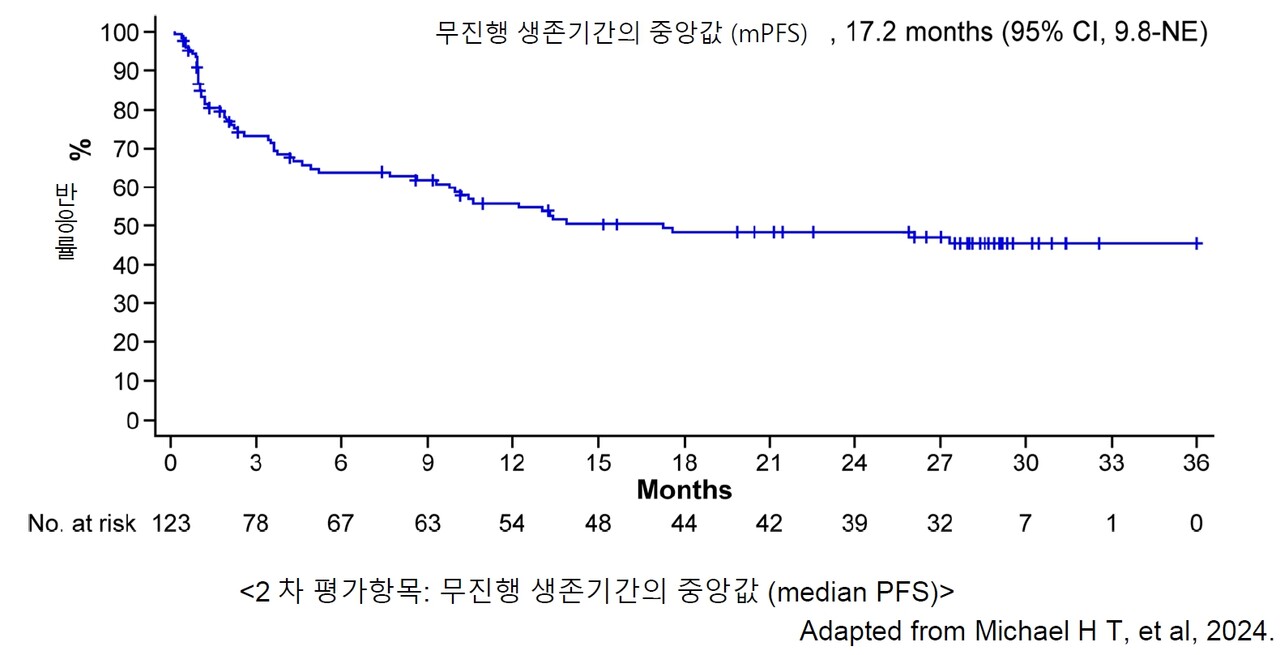 엘렉스피오 Magnetis MM-3연구에서 무진행생존기간 중앙값