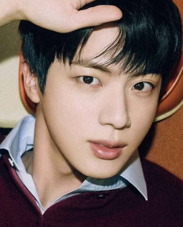 사진. BTS의 멤버 진