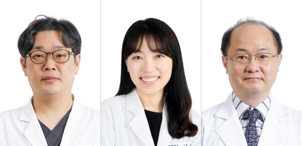 사진. (왼쪽부터) 이범준 교수, 김관일 교수, 정희재 교수