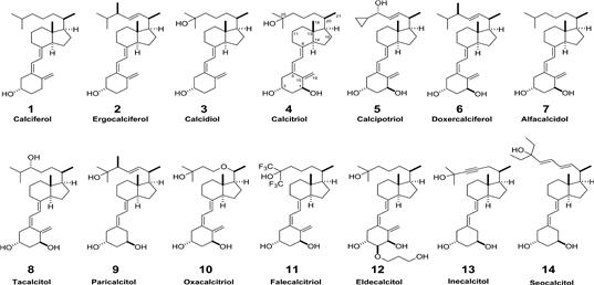 그림 3. 시장에서 쉽게 구입할 수 있는 비타민 D 유사체