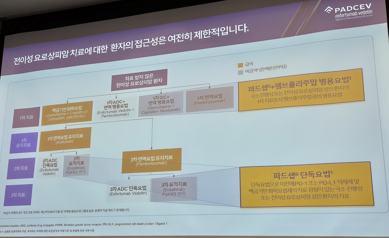 2025년 8월 기준, 국내 전이성 요로상피암 급여 치료제 현황