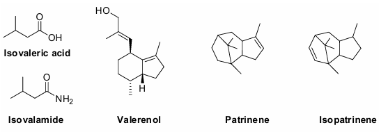사진. 쥐오줌풀과 마타리에서 냄새 및 진정 작용을 나타내는 화합물의 구조