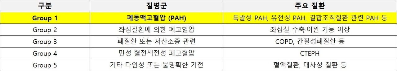폐동맥고혈압 질환 분류