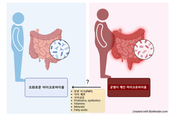그림. 비만과 마이크로바이옴 [출처: Ann NY Acad Sci. 2024; 1540: 61–88]