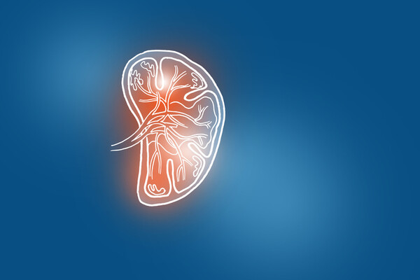 게티이미지 뱅크