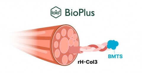 바이오플러스, 국내 최초 '유전자 재조합 인간형 콜라겐 타입Ⅲ(rH-Col3)'... - 뉴스 썸네일 이미지