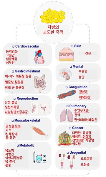 glp 1 원리 갈수록 뚱뚱해지는 호모 사피엔스: GLP-1 요법의 적용 범위와 한계 < 정재훈 소장│청론보건연구소 < 정기연재 < 오피니언 <  기사본문