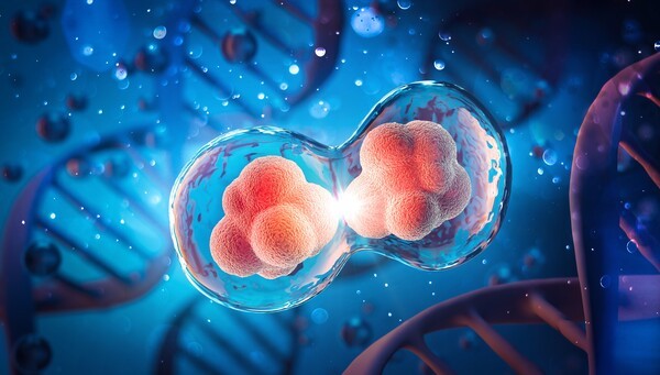 K-유전자재조합 기술, 글로벌 빅파마와 한판승부 예고 - 뉴스 썸네일 이미지