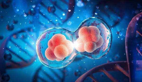 국산 mRNA 백신, 기술패권 확보 시동...상용화 속도 - 뉴스 썸네일 이미지