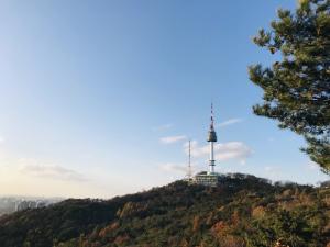 가을과 만난 겨울 남산 그리고 단풍 < 화장품 < 뷰티 < 기사본문 - 팜뉴스