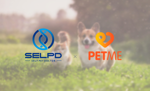 셀피디, 반려동물 플랫폼 서비스 위한 MoU 체결 - 뉴스 썸네일 이미지